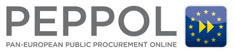 Arve PEPPOL-i kaudu 100 arvet kuus